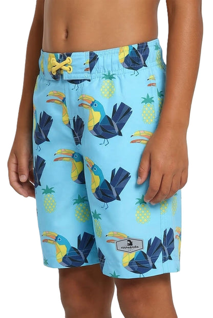 Boys' Quick Dry Mesh Lined Swim Trunks Swimwear Rokka & Rolla