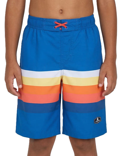 Boys' Quick Dry Mesh Lined Swim Trunks Swimwear Rokka & Rolla