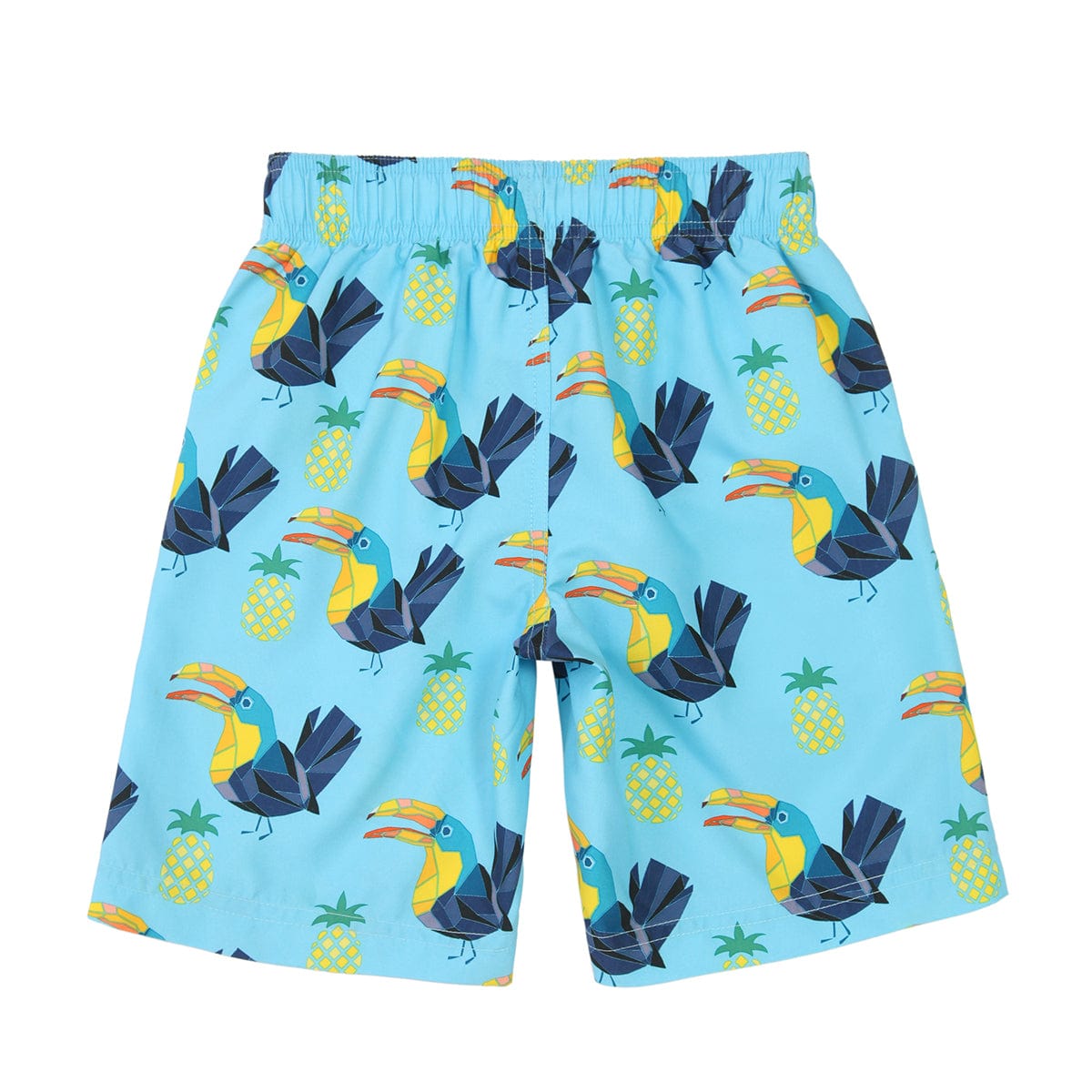Boys' Quick Dry Mesh Lined Swim Trunks Swimwear Rokka & Rolla