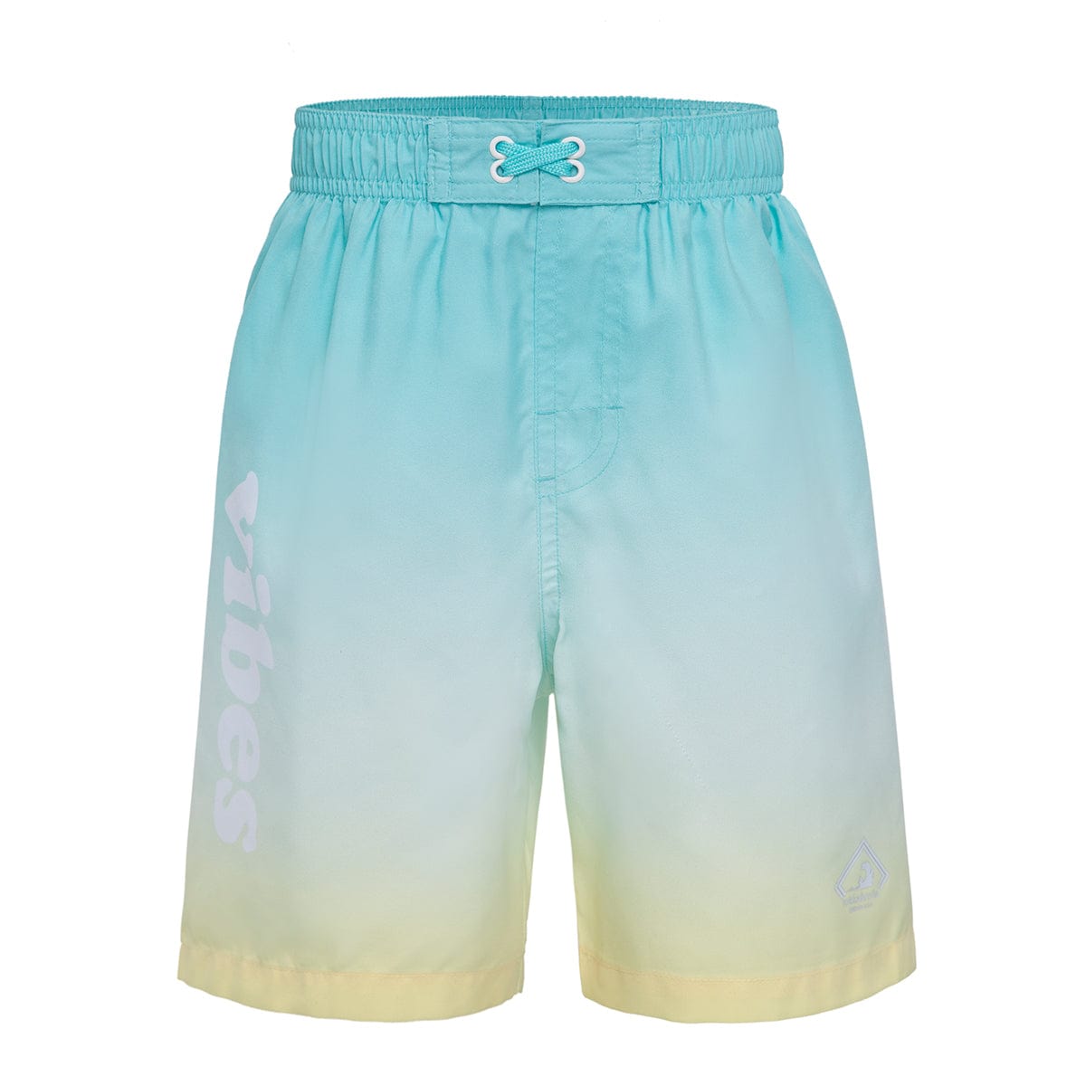 Toddlers' Mesh Lined Swim Trunks Baby & Toddler Swimwear 2T / Mint Vibes Rokka & Rolla