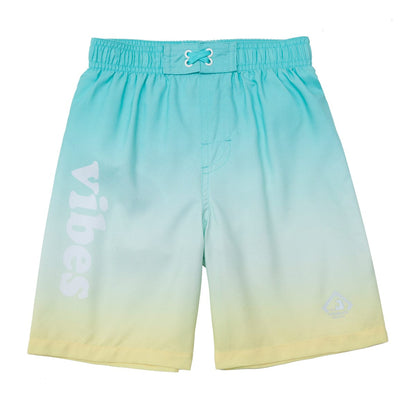 Toddlers' Mesh Lined Swim Trunks Baby & Toddler Swimwear Rokka & Rolla